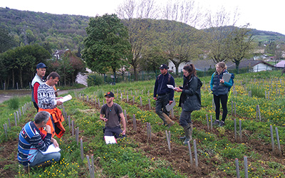 formation-flore-adventice-vignes